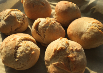 Experiment Fastenzeit: Nichts, wofür man sich schämen müsste am Tag 6