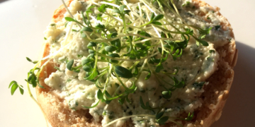 Experiment Fastenzeit: Frischkäse auf Brötchen am Tag 7