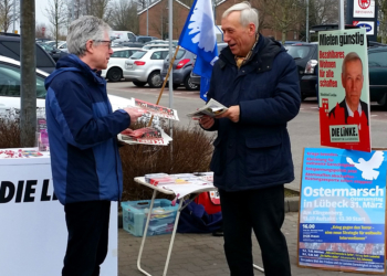 Linke ruft zu Friedensmärschen auf