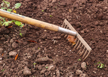 Gärtnern im Paragrafendschungel