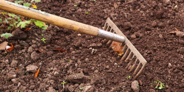 Gärtnern im Paragrafendschungel