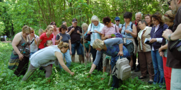 Kräuterführung ‚Frühjahrskräuter lecker und gesund‘