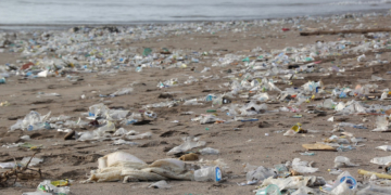 ‚Plastikfasten‘ in Mölln