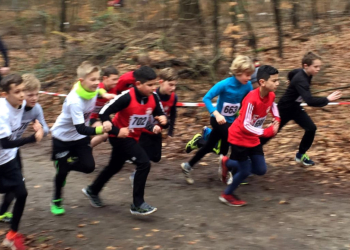 Landesoffene Kreismeisterschaften im Crosslauf