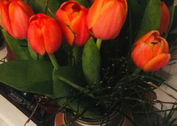 Experiment Fastenzeit: Kopfgegrummel am Tag 23