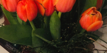 Experiment Fastenzeit: Kopfgegrummel am Tag 23