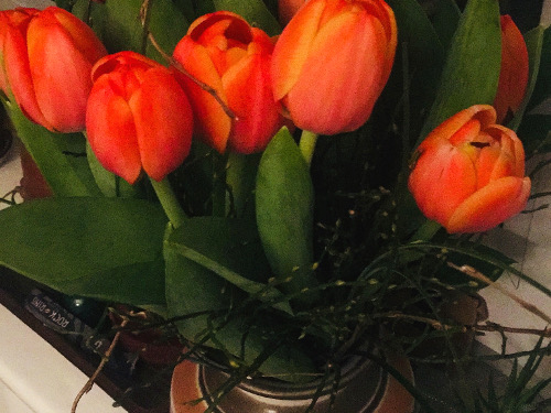 Experiment Fastenzeit: Kopfgegrummel am Tag 23