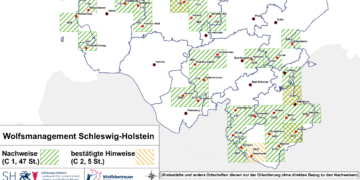 Wolfsnachweis bei Lütjensee