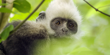 Unsere Erde 2 im Burgtheater