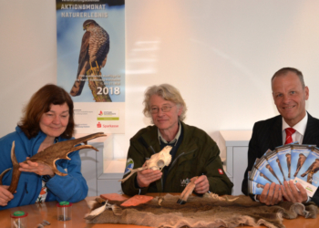 Aktionsmonat Naturerlebnis