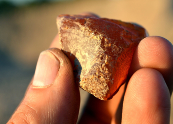 Neue Schätze aus einem alten Meer