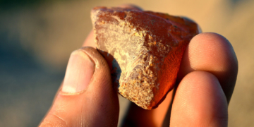 Neue Schätze aus einem alten Meer