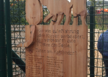 CDU für Katzenschutz-Verordnung in Mölln