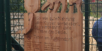 CDU für Katzenschutz-Verordnung in Mölln