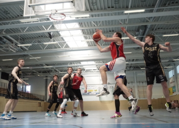 Basketball: Entscheidung über Aufstieg am letzten Spieltag