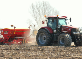 Bei Kaiserwetter kommt der ‚Doktor des Bodens‘ in die Erde