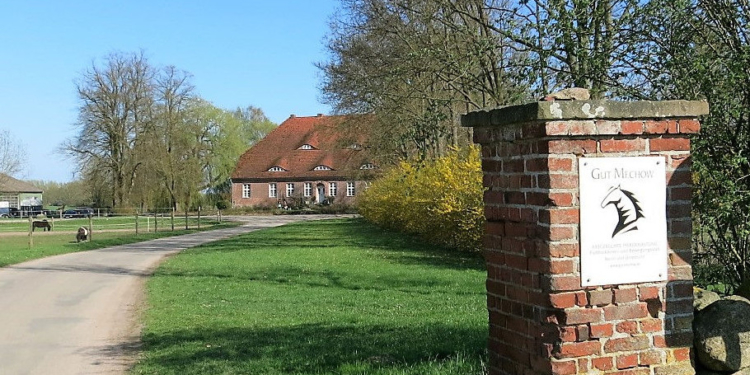 Frühling auf Gut Mechow