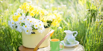 Springendes Sommercafé in Berkenthin