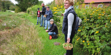Kräuter auf der Insel Kampenwerder