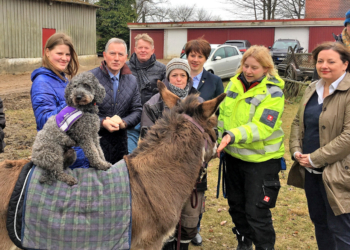 Mit ‚Speedy‘ und ‚Merlin‘ zu mehr Vertrauen