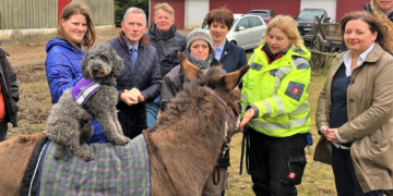 Mit ‚Speedy‘ und ‚Merlin‘ zu mehr Vertrauen