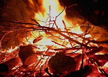 Maifeuer – die tödliche Falle für Wildtiere ist vermeidbar!