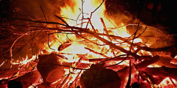 Maifeuer – die tödliche Falle für Wildtiere ist vermeidbar!