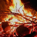 Maifeuer – die tödliche Falle für Wildtiere ist vermeidbar!