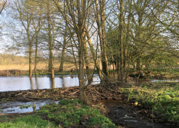 Wanderung zur Biberburg
