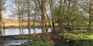 Wanderung zur Biberburg