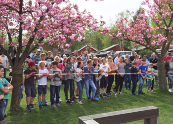 47 Optimisten zu Gast am Ratzeburger See