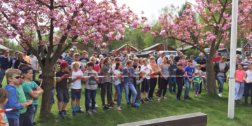 47 Optimisten zu Gast am Ratzeburger See