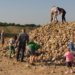 GeoPark Schnupperexkursion – Muschel, Klapperstein & Co.