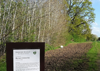 Gemeinde Bliestorf unterstützt Naturschutzprojekt des ‚Netzwerkes blühende Landschaften‘