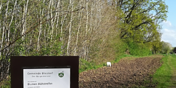 Gemeinde Bliestorf unterstützt Naturschutzprojekt des ‚Netzwerkes blühende Landschaften‘