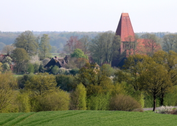 Wie viele Grüntöne gibt es eigentlich auf der Welt?