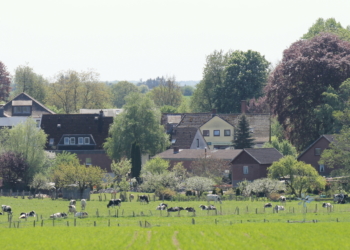 Die sanften Riesen sind los