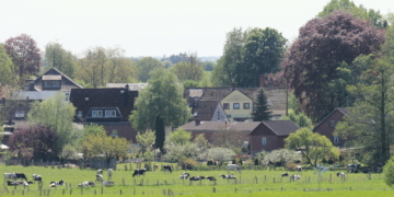 Die sanften Riesen sind los