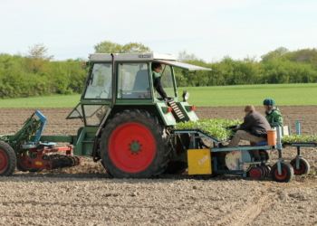 Setzzeit in Fredeburg