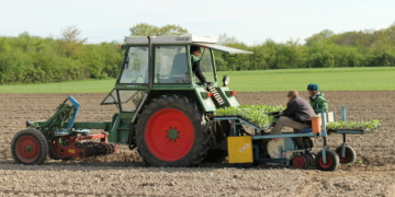 Setzzeit in Fredeburg