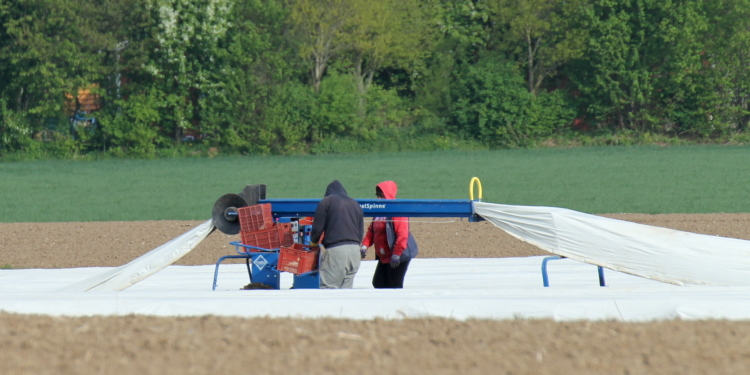 Es sind bloß noch 52 Tage bis Johannistag