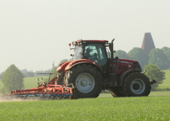Streicheleinheiten für den Boden