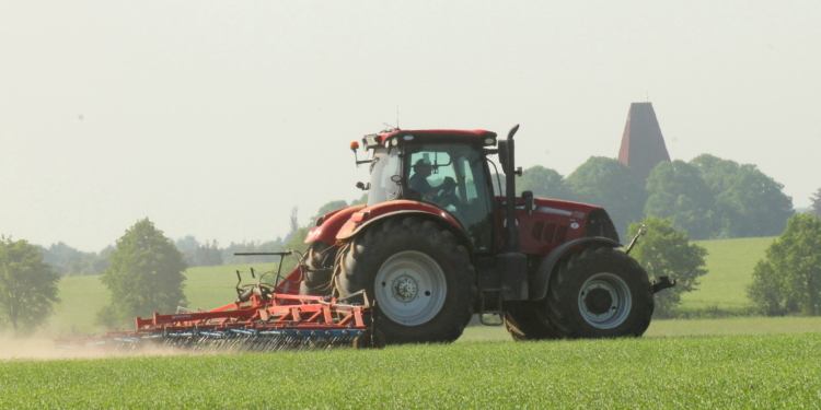 Streicheleinheiten für den Boden