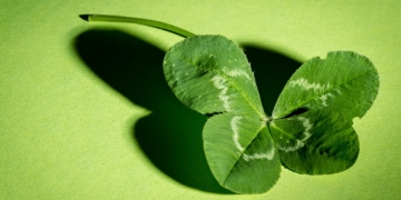 Mit der BUNDjugend auf der Suche nach dem Glück