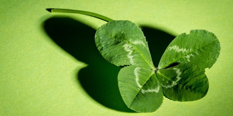 Mit der BUNDjugend auf der Suche nach dem Glück