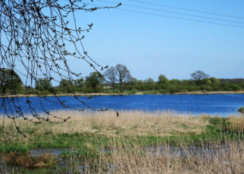 Naturschutzgebiet ‚Mechower Seeufer‘
