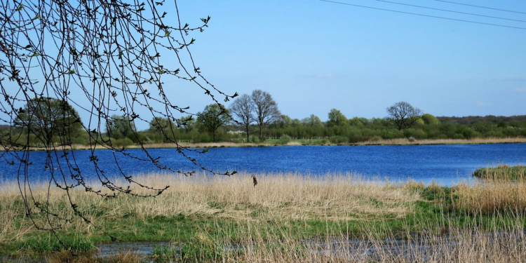 Naturschutzgebiet ‚Mechower Seeufer‘