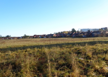 Baubeginn für Neubaugebiet am Wasserkrüger Weg