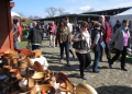 Biosphäre-Schaalsee-Markt mit Kaffee Kranich und handgefertigter Holzdeko