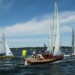 8. Spargelregatta wieder mit großer Beteiligung